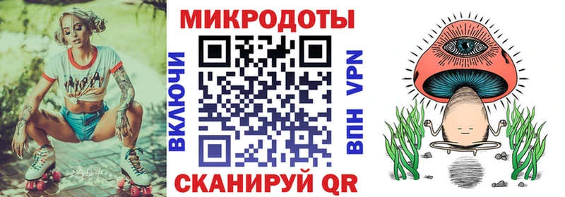 Псилоцибиновые грибы Psilocybine cubensis  Элиста 